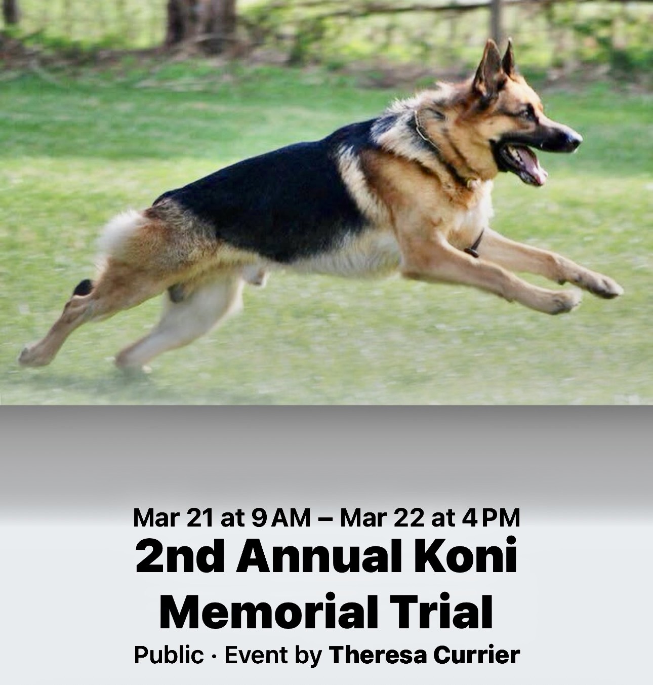 2nd Annual Koni Memorial Trial